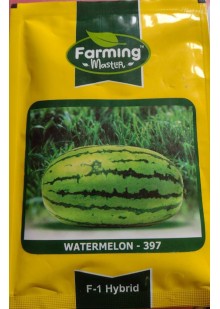 Watermelon 397